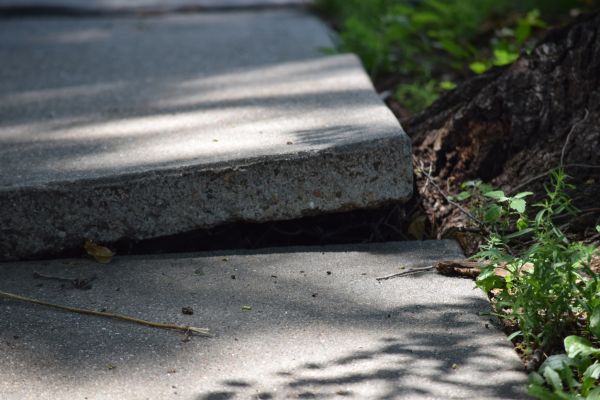 Sidewalk Leveling in Bethlehem